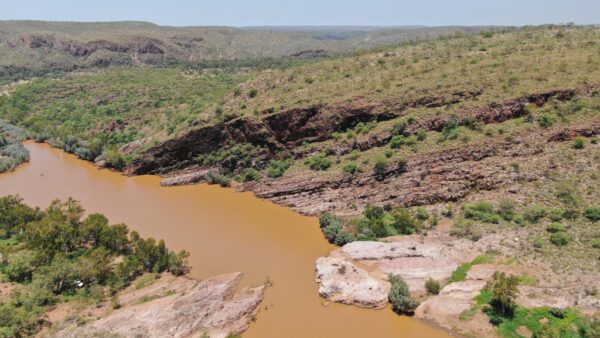 0 Donation to Conservation Partners – Tax Deductible