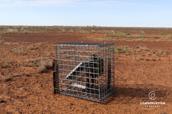 00 Donation to Conservation Partners – Tax Deductible