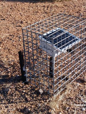 0 Donation to Conservation Partners – Tax Deductible