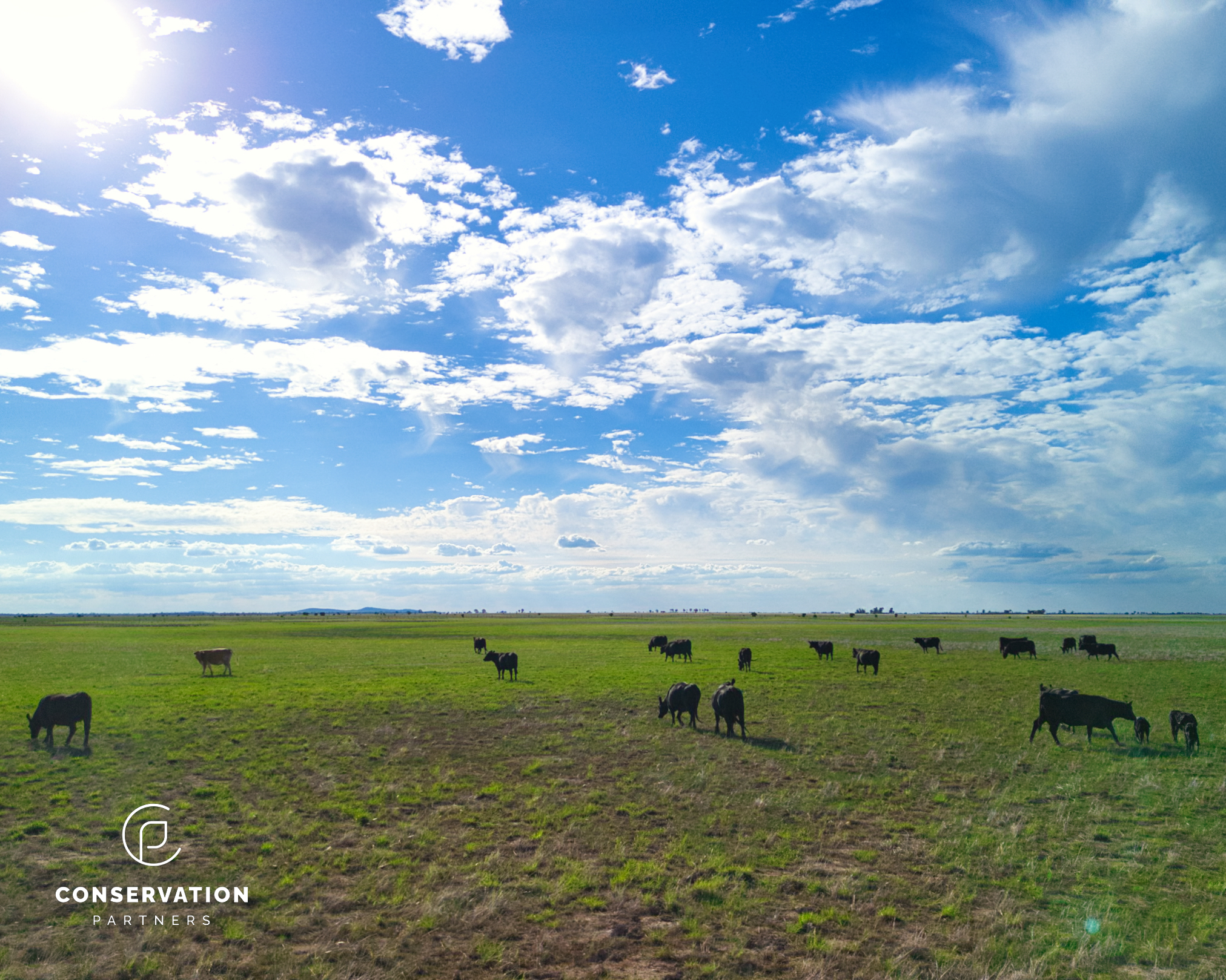 DJI_20260320163511_0077_D
